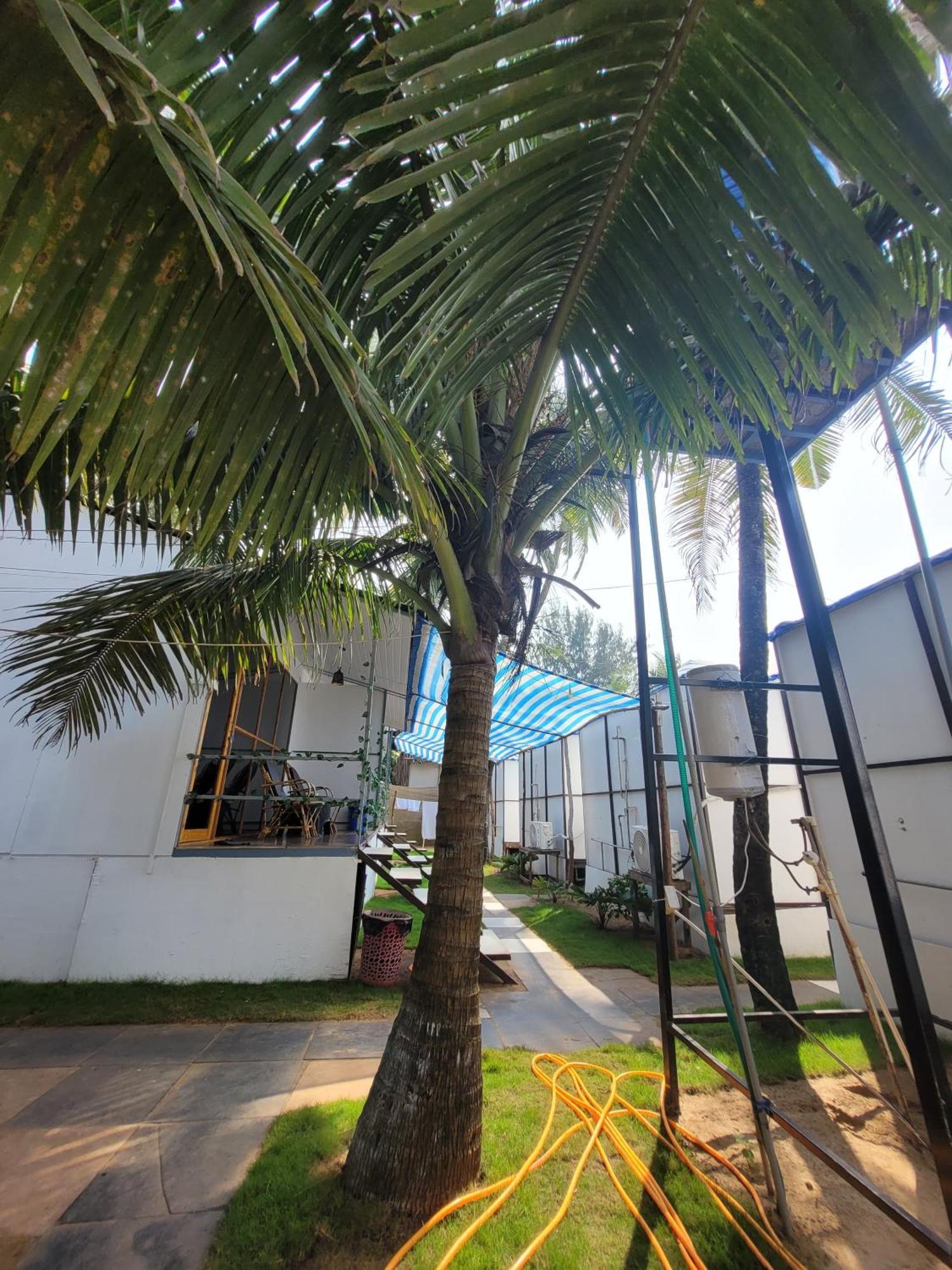 Kashinath Beach Huts Agonda Exterior photo